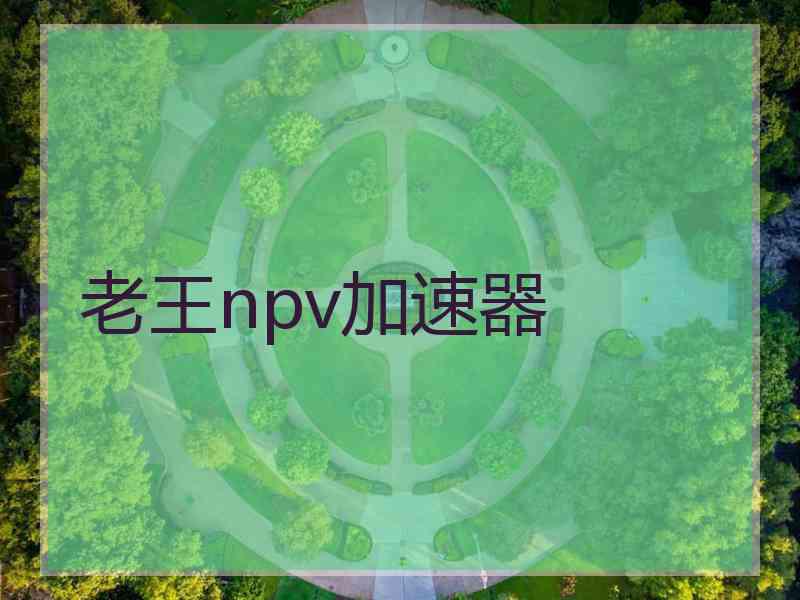 老王npv加速器