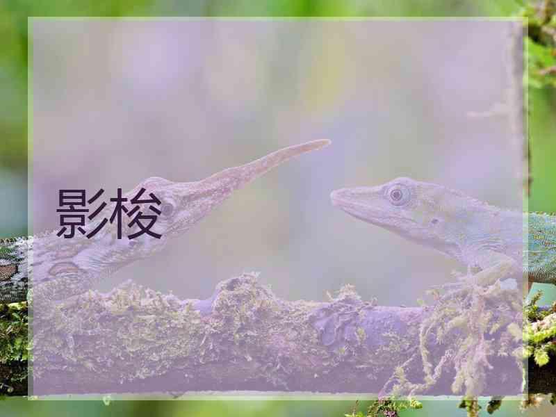 影梭