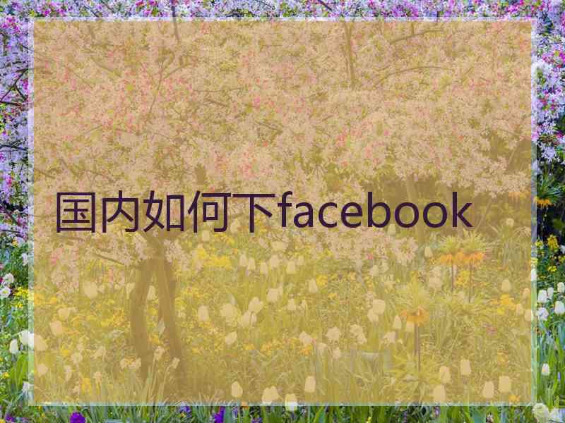 国内如何下facebook