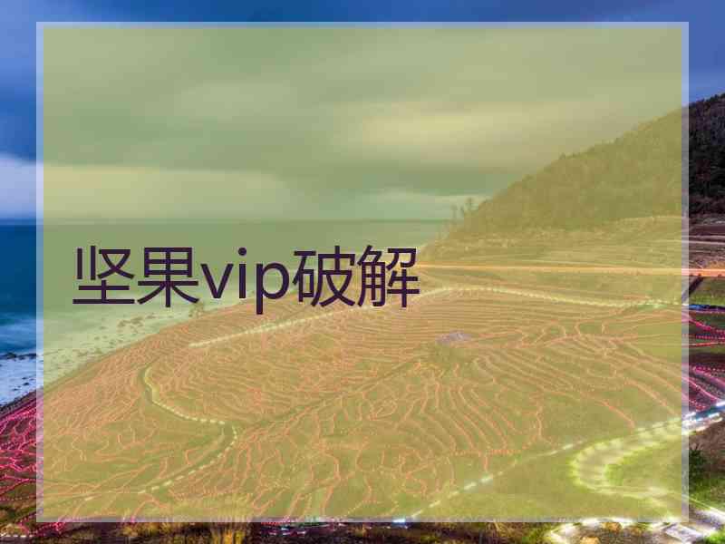 坚果vip破解