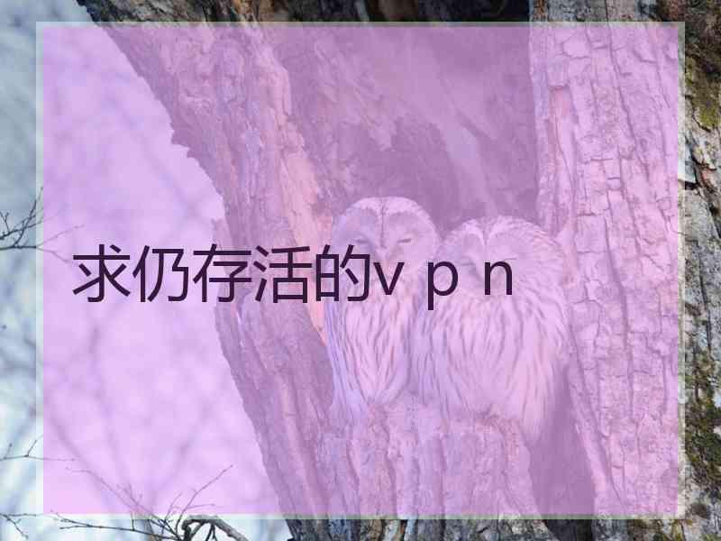 求仍存活的v p n