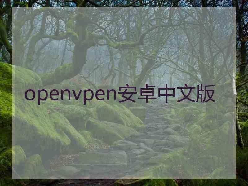 openvpen安卓中文版
