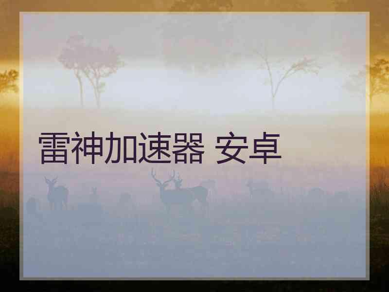 雷神加速器 安卓