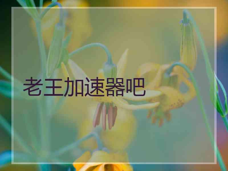 老王加速器吧