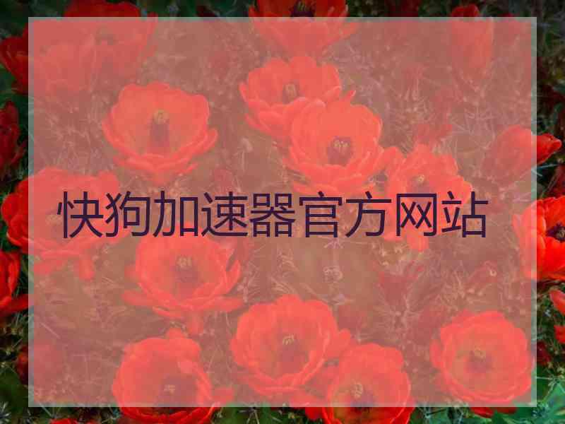 快狗加速器官方网站