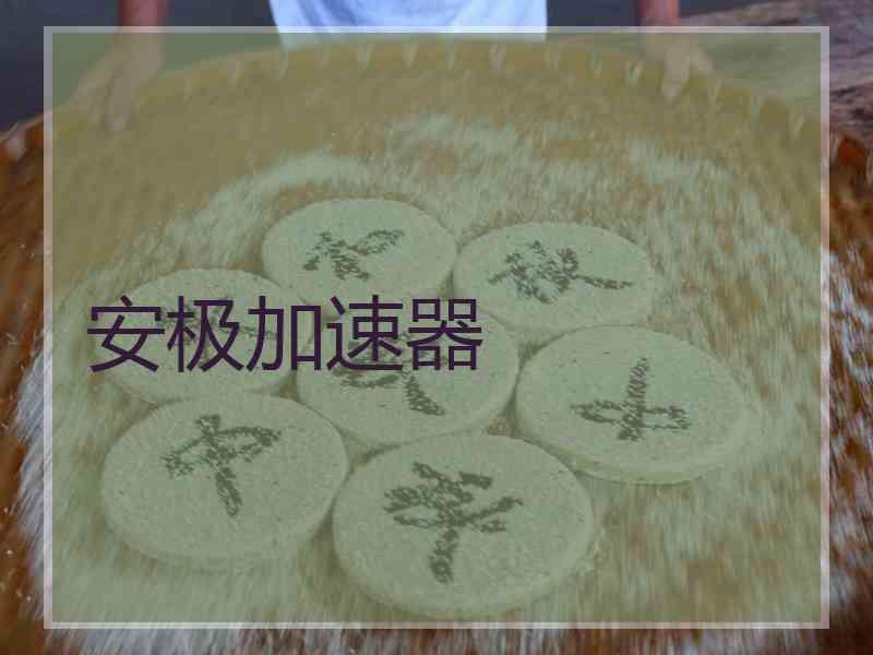 安极加速器