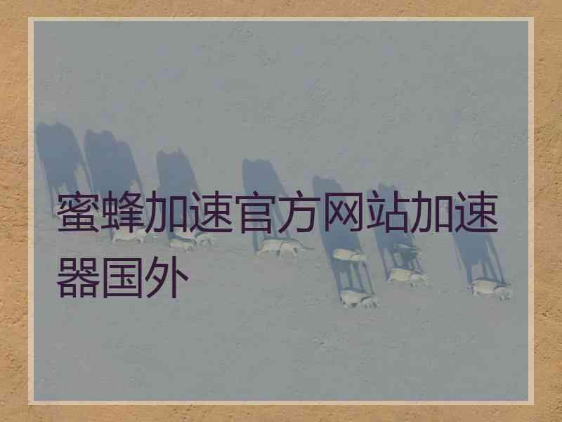 蜜蜂加速官方网站加速器国外