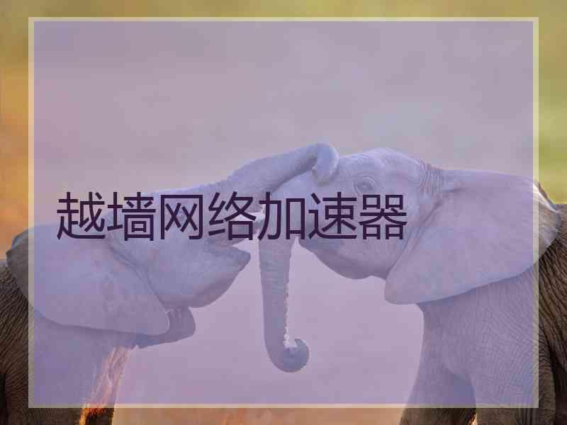 越墙网络加速器