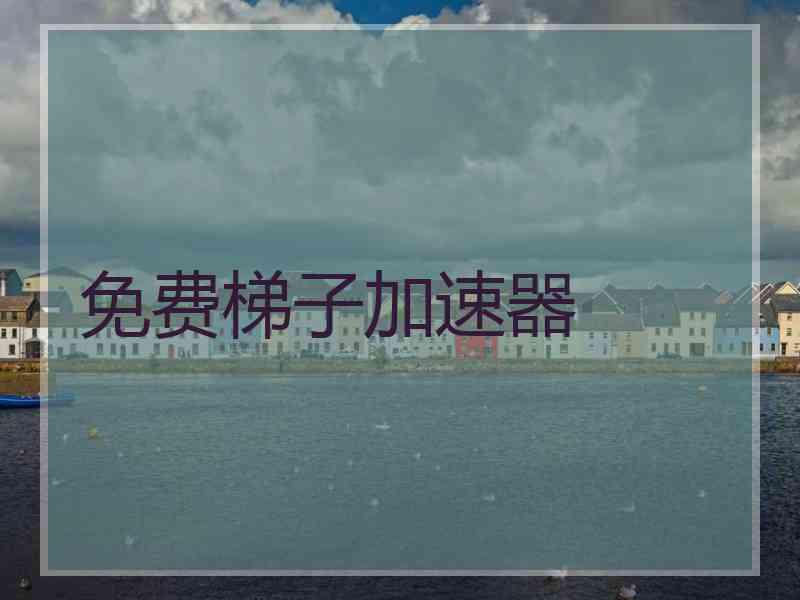 免费梯子加速器