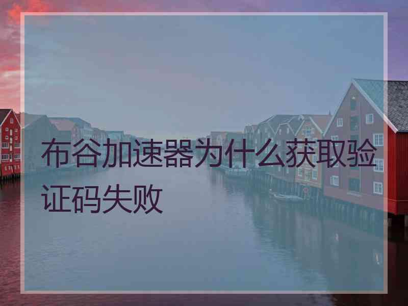 布谷加速器为什么获取验证码失败