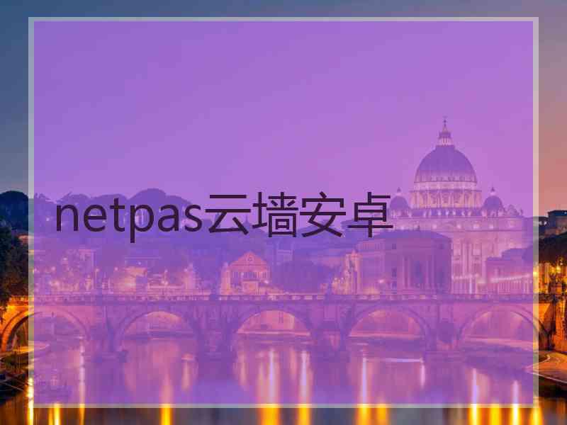 netpas云墙安卓