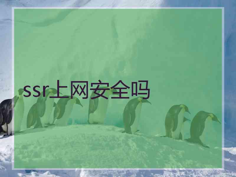 ssr上网安全吗