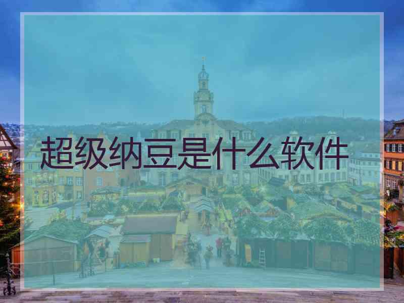 超级纳豆是什么软件