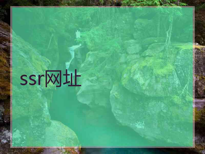 ssr网址