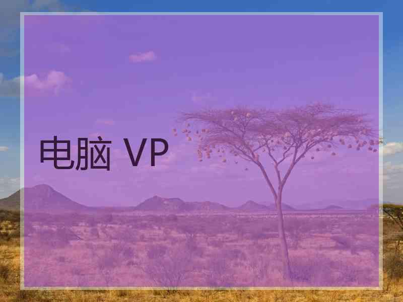 电脑 VP
