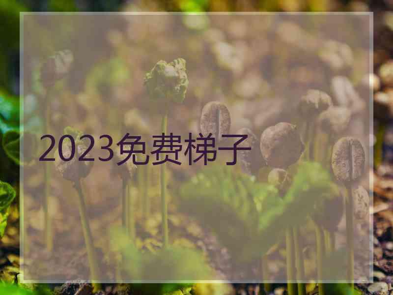 2023免费梯子