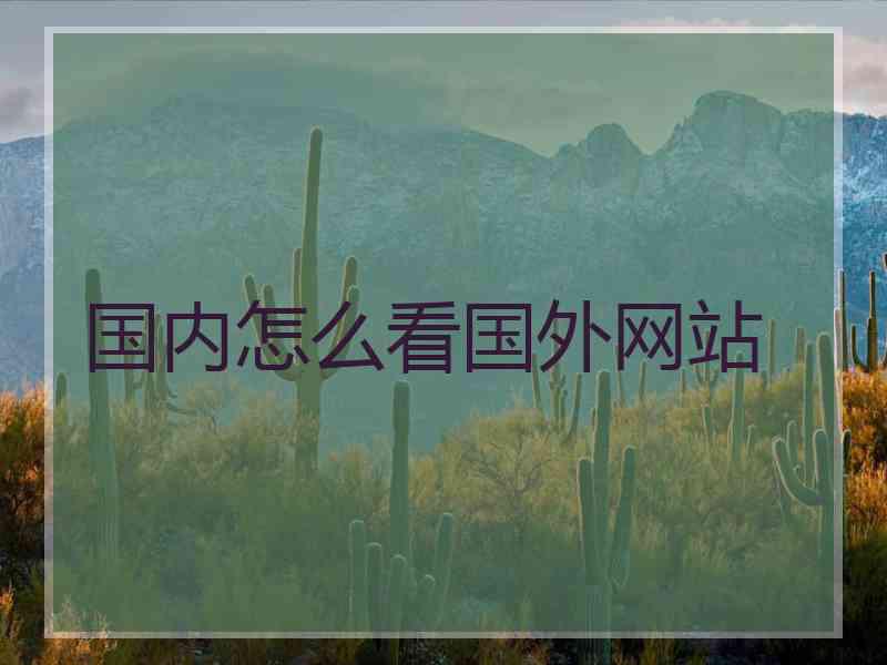 国内怎么看国外网站