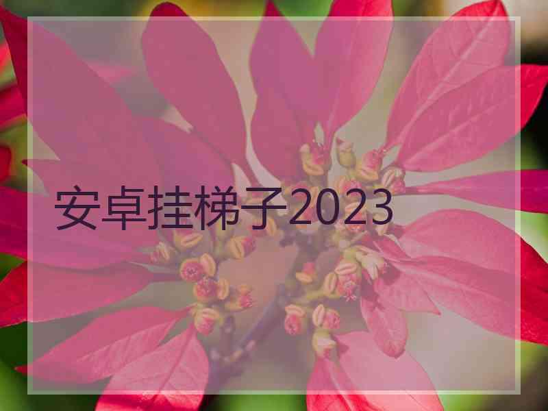 安卓挂梯子2023