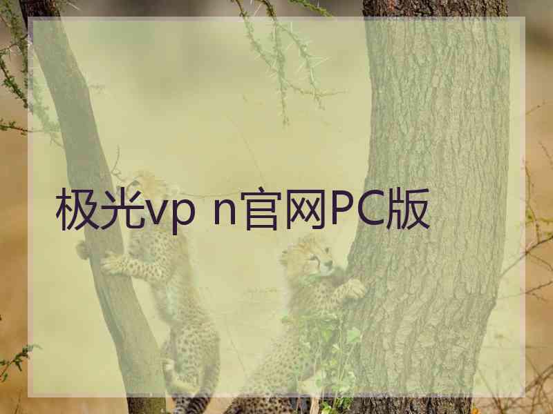 极光vp n官网PC版