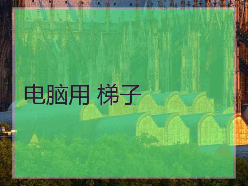 电脑用 梯子