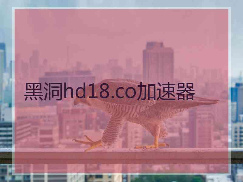 黑洞hd18.co加速器