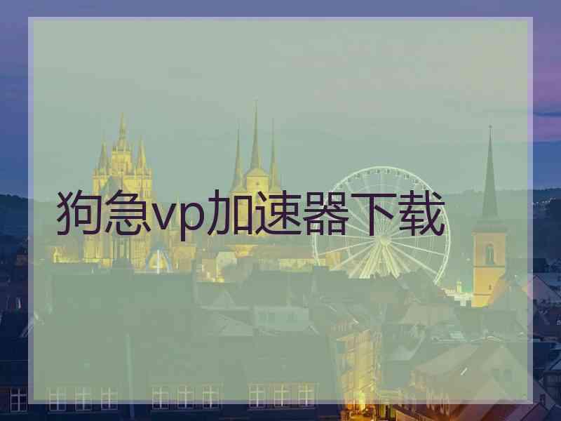 狗急vp加速器下载