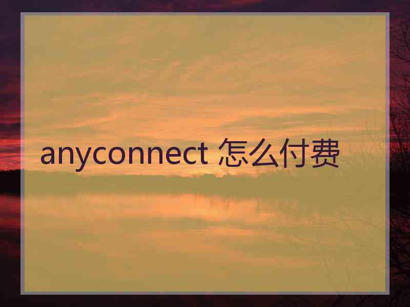 anyconnect 怎么付费