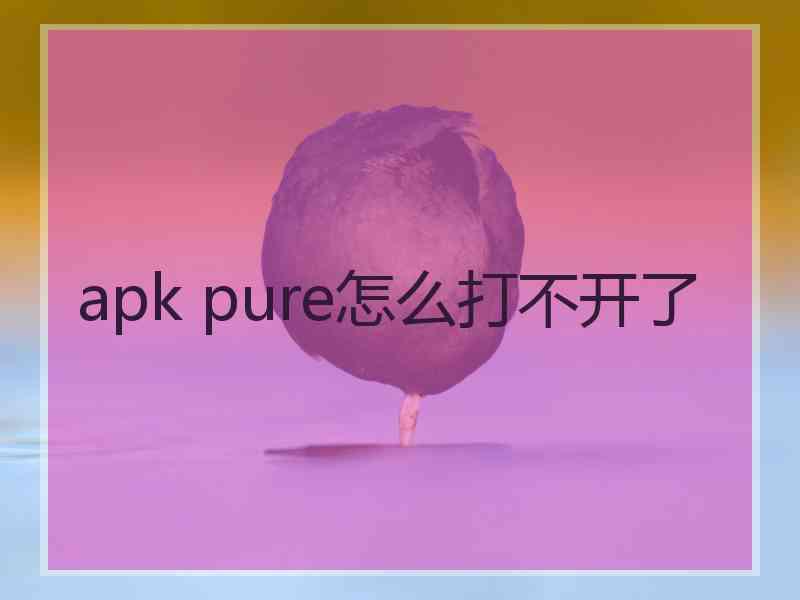 apk pure怎么打不开了