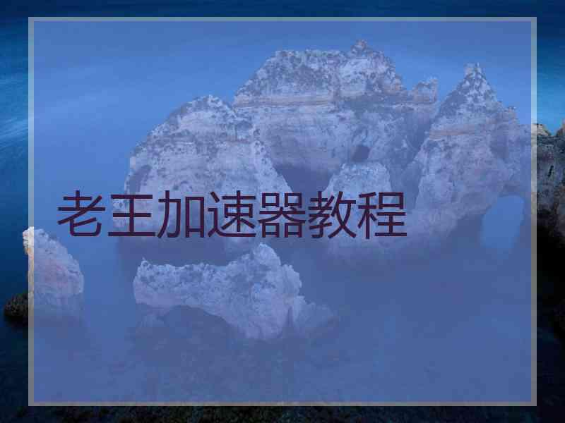 老王加速器教程