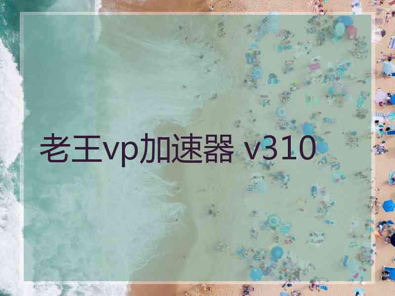老王vp加速器 v310