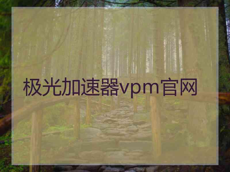 极光加速器vpm官网