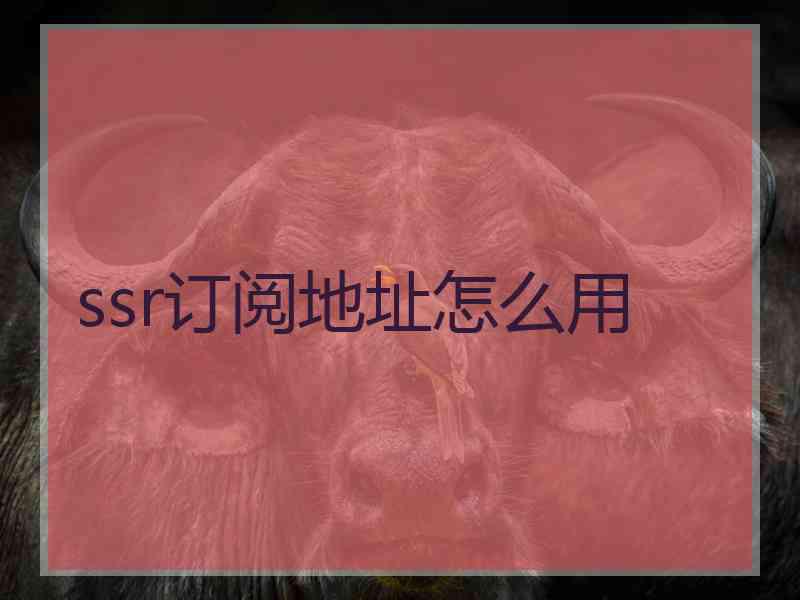 ssr订阅地址怎么用