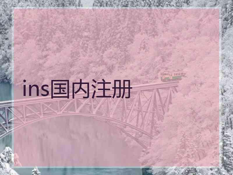 ins国内注册