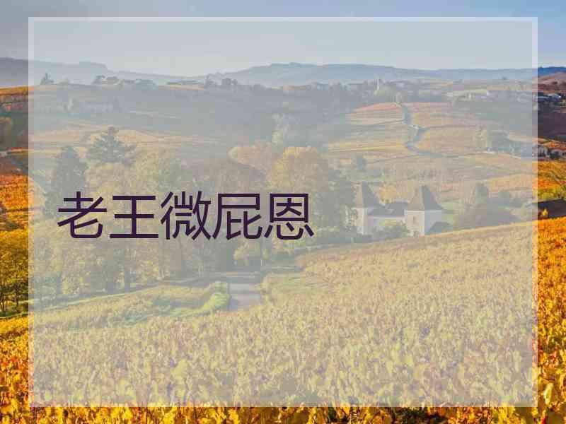 老王微屁恩