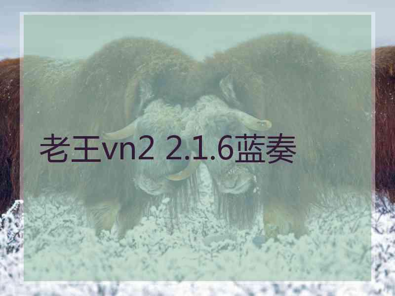 老王vn2 2.1.6蓝奏