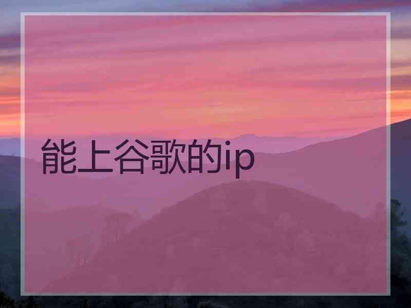 能上谷歌的ip