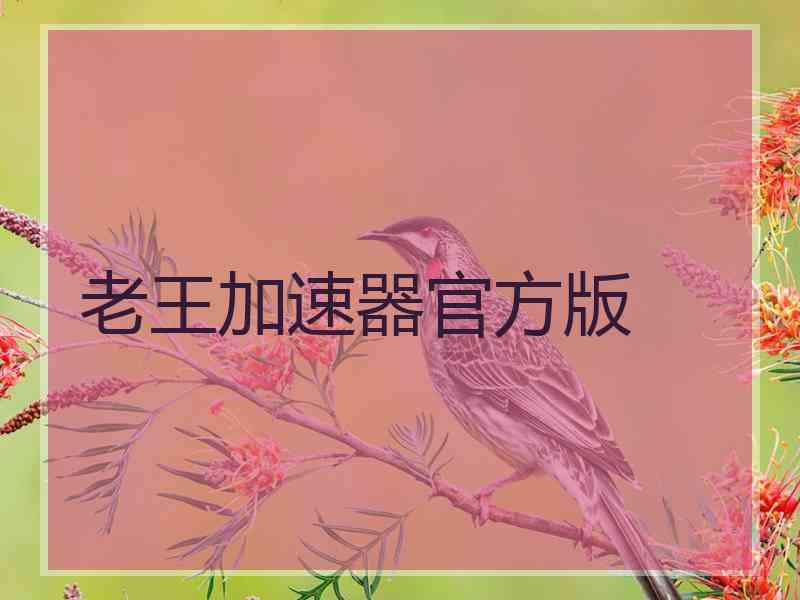 老王加速器官方版