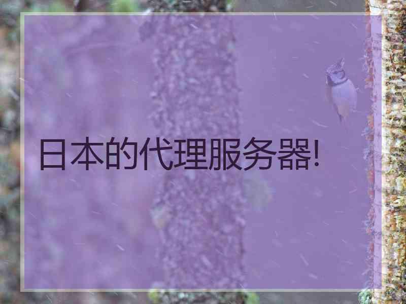 日本的代理服务器!