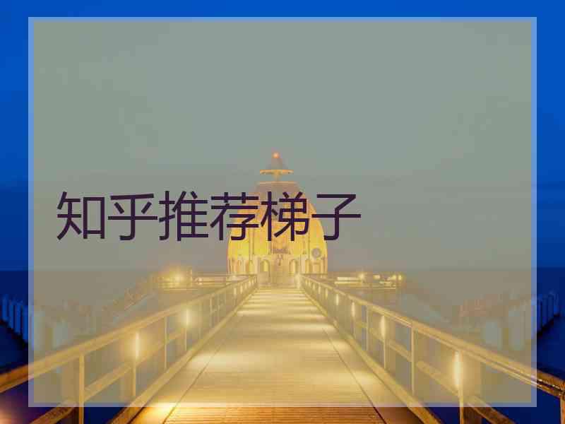 知乎推荐梯子