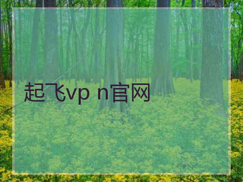 起飞vp n官网
