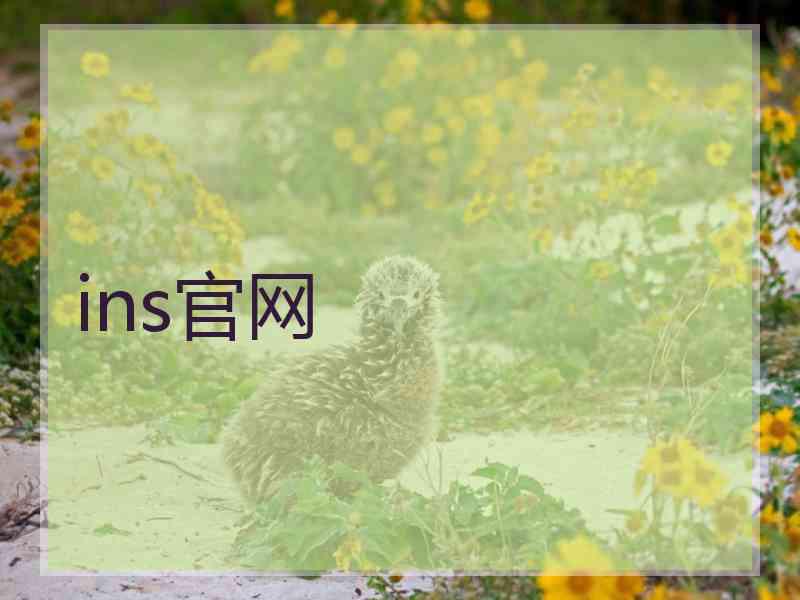 ins官网