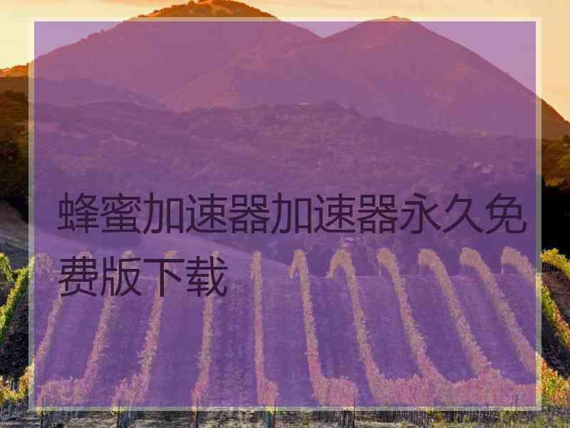 蜂蜜加速器加速器永久免费版下载