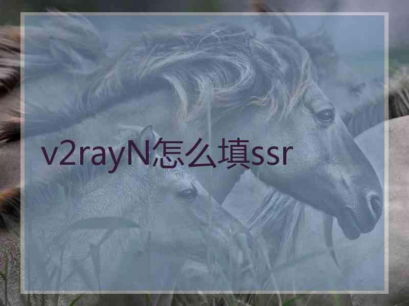 v2rayN怎么填ssr