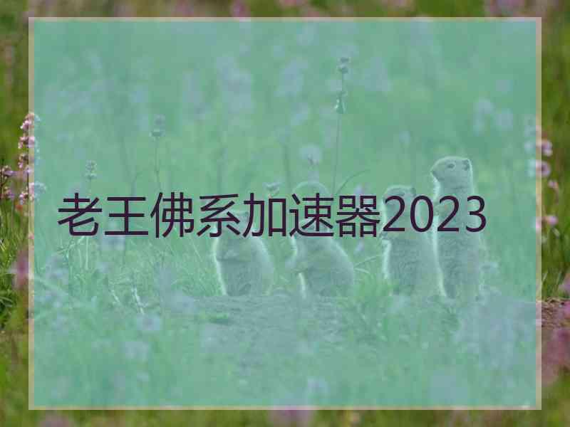 老王佛系加速器2023