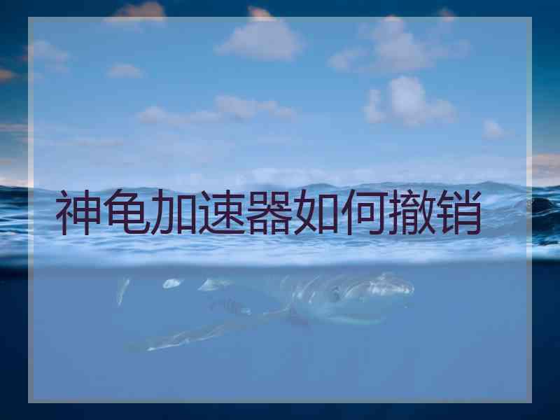 神龟加速器如何撤销