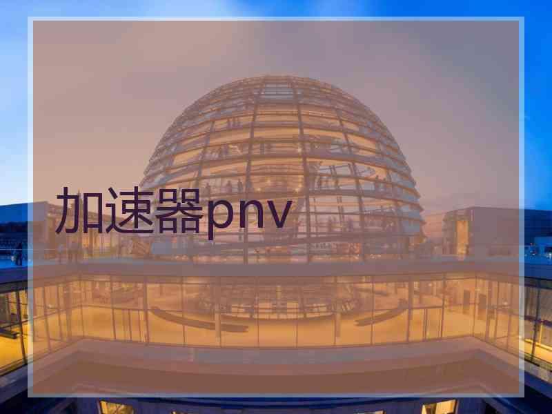 加速器pnv