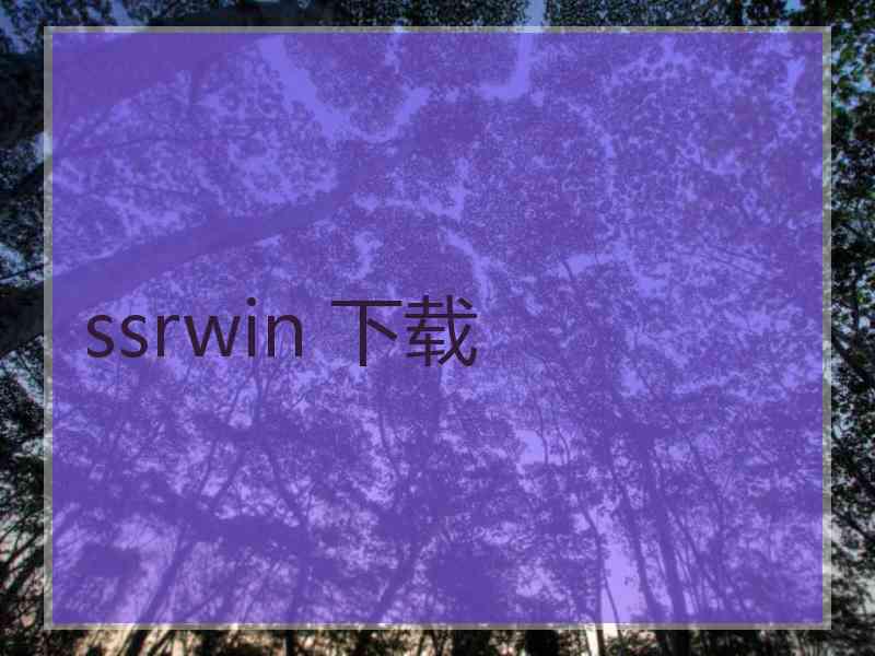 ssrwin 下载
