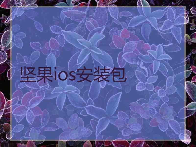 坚果ios安装包