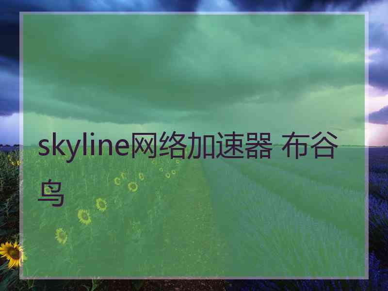 skyline网络加速器 布谷鸟
