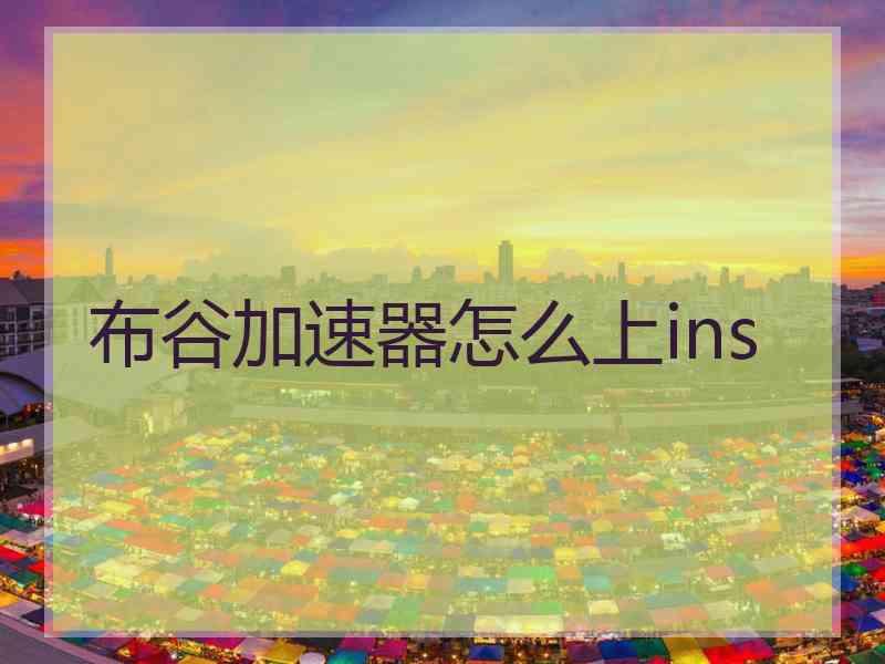 布谷加速器怎么上ins